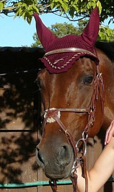 Bonnet bordeaux taille poney