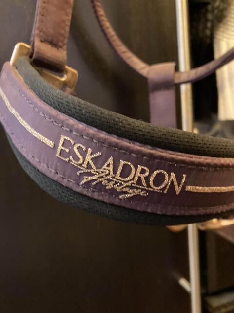 Licol violet Eskadron