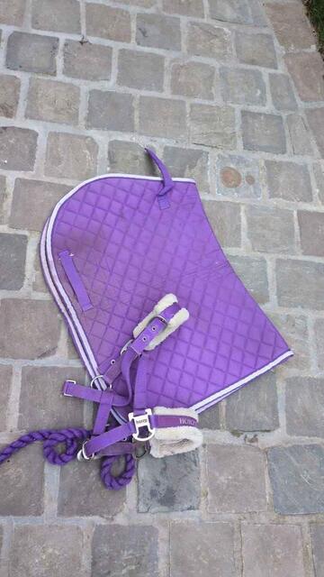Ensemble violet tapis+licol+amortisseur