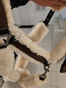 Licol mouton penelope leprevost