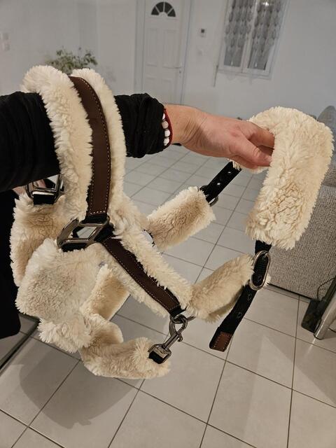 Licol mouton penelope leprevost