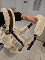 Licol mouton penelope leprevost