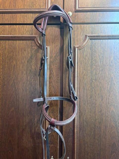 Bridon cwd cheval