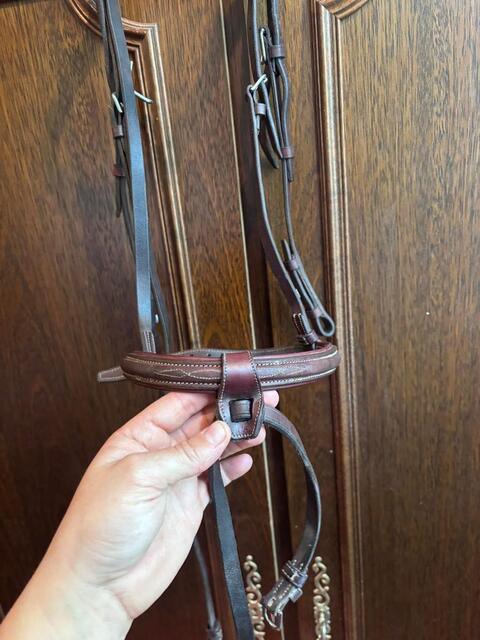 Bridon cwd cheval