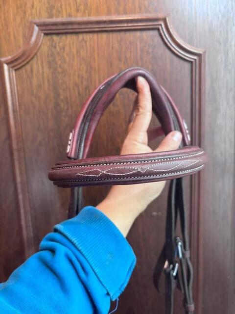 Bridon cwd cheval