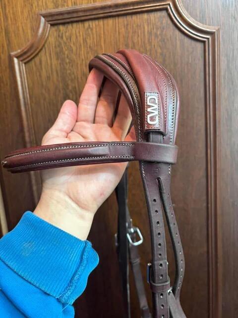 Bridon cwd cheval