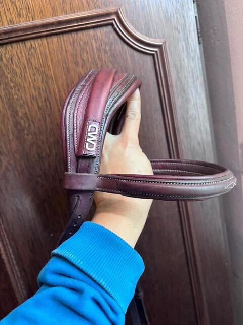 Bridon cwd cheval
