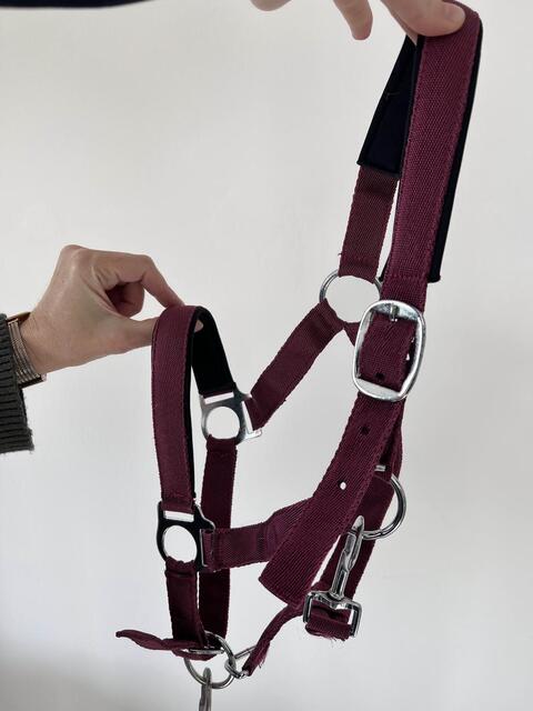Licol poney nylon couleur prune framboise avec fil argenté