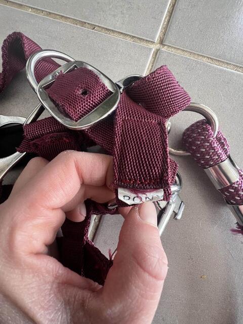 Licol poney nylon couleur prune framboise avec fil argenté
