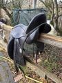 Selle de dressage