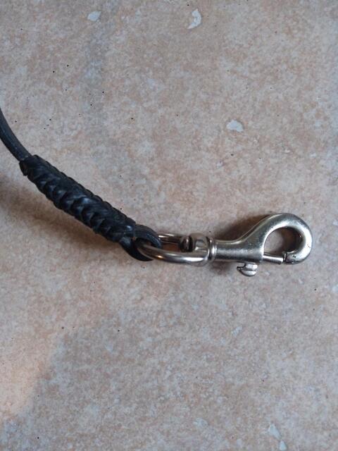 Rênes en cuir neuves 2.50