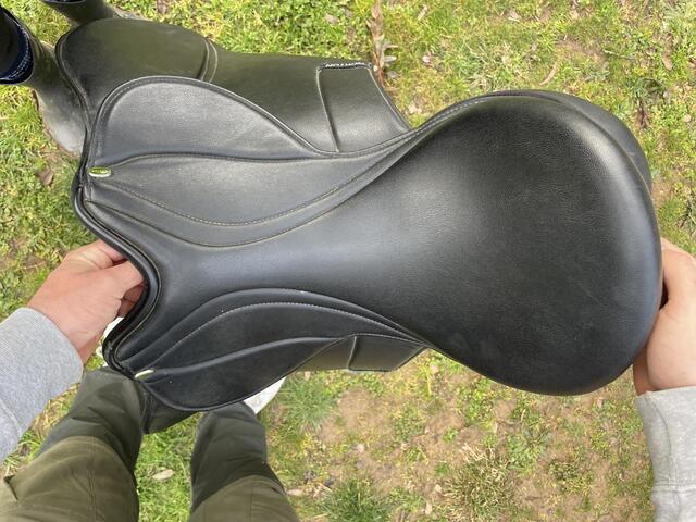 Selle mixte Norton