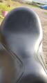 Aachen Forestier 16'