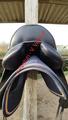 Aachen Forestier 16'