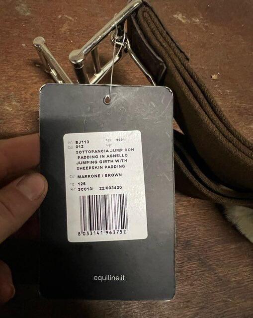 Sangle equiline neuve