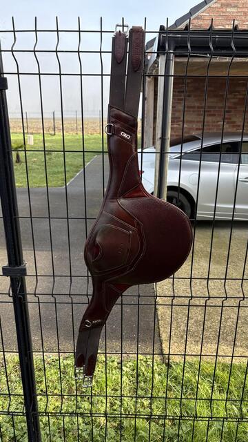 bavette cwd