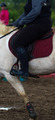 Bottes Horse Pilot Teknit Boot