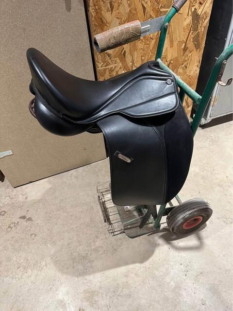 Selle 18'