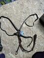 collier de chasse