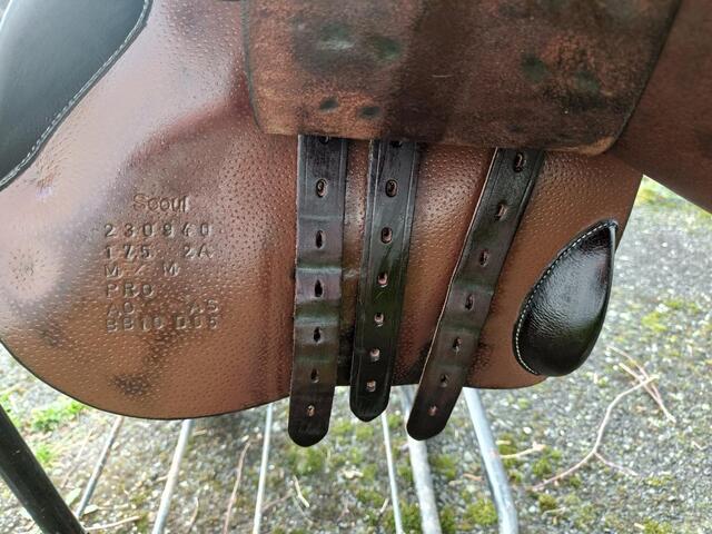Selle FORESTIER