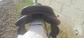 Selle devoucoux chiberta K ,16.5