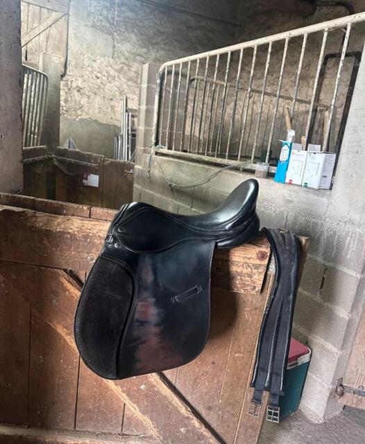 Selle cheval