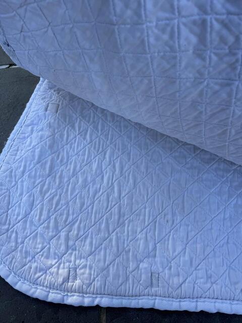 Tapis blanc Horse