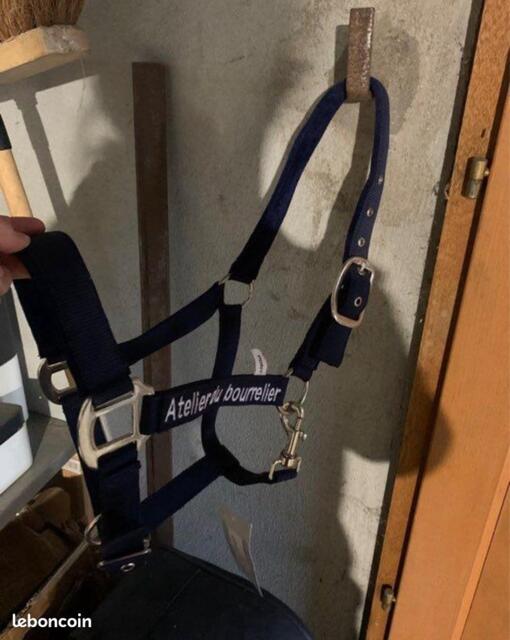 Licol neuf taille poney bleu marine