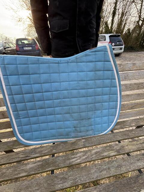 tapis bleu harcour