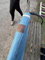 tapis bleu harcour