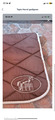 tapis Hervé godignon