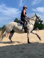 bridon noir taille COB