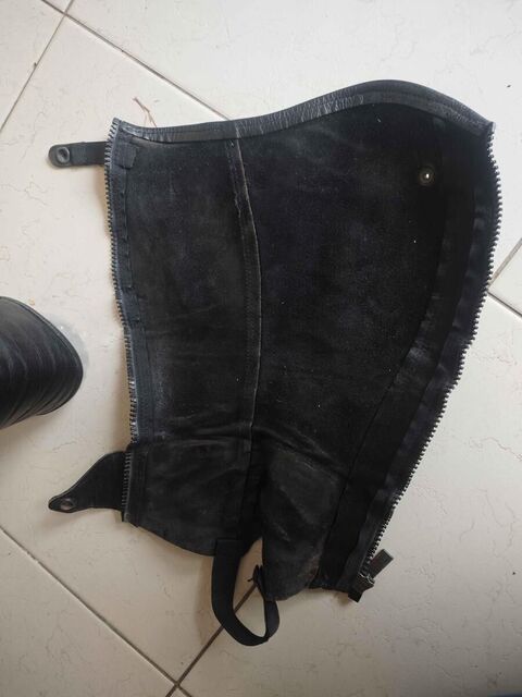 Chaps Dyon standard