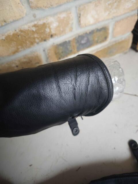 Chaps Dyon standard