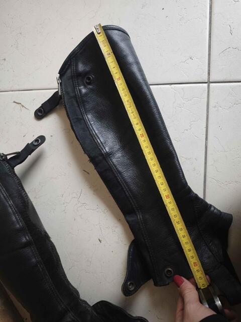 Chaps Dyon standard