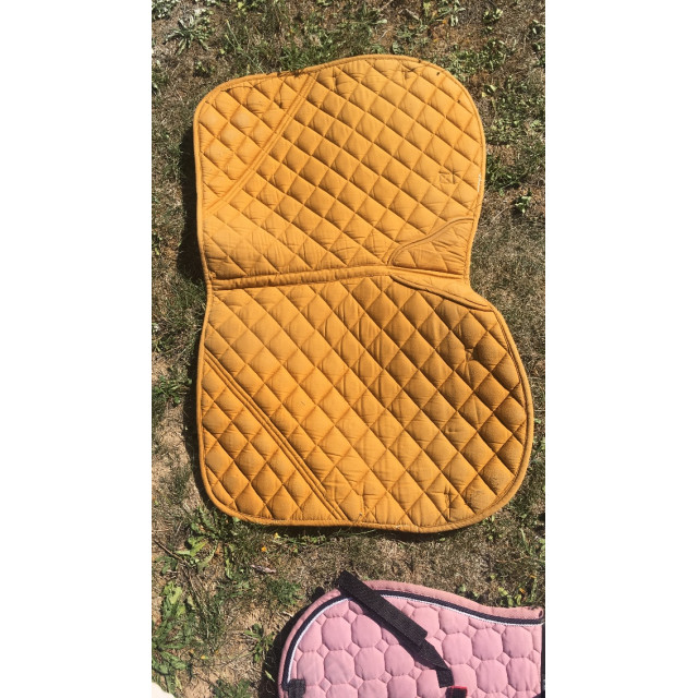 tapis