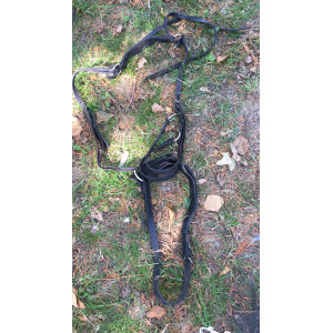 collier  de chasse
