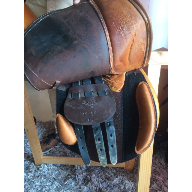 Selle d'obstacle Eric Thomas modèle Lucerne