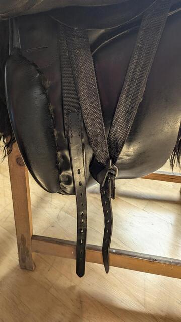 Busse Hafnir Selle de Tölt