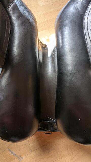 Busse Hafnir Selle de Tölt