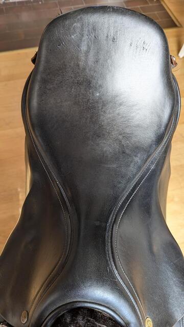 Busse Hafnir Selle de Tölt