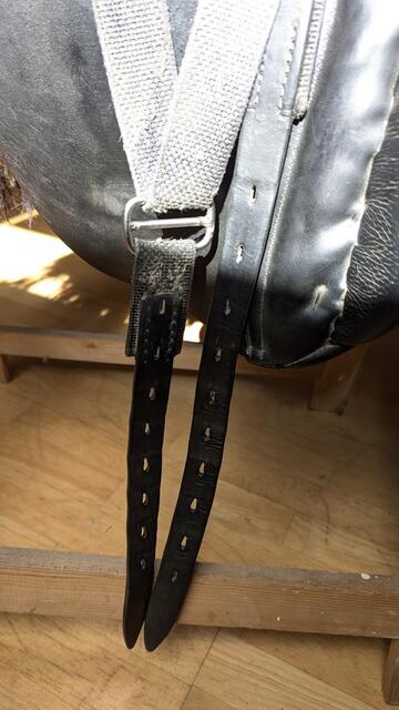 Busse Hafnir Selle de Tölt