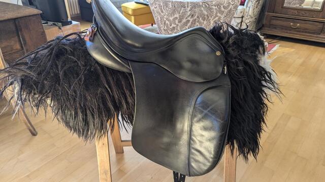 Busse Hafnir Selle de Tölt
