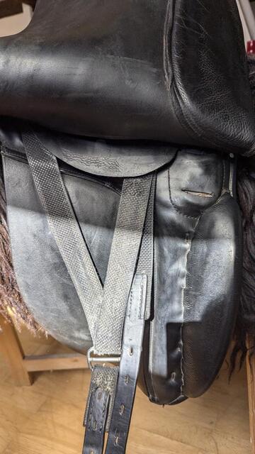 Busse Hafnir Selle de Tölt