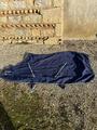 Chemise Horseware Rambo 145