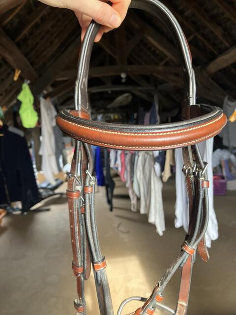 BRIDON CSO MARRON