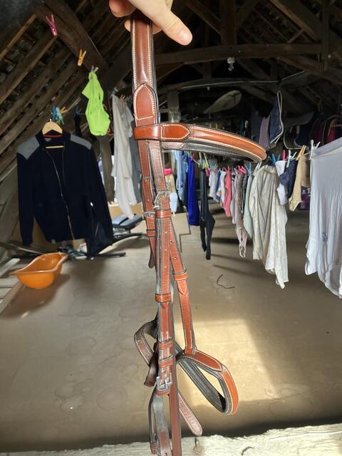 BRIDON CSO MARRON
