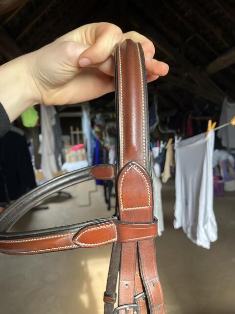 BRIDON CSO MARRON