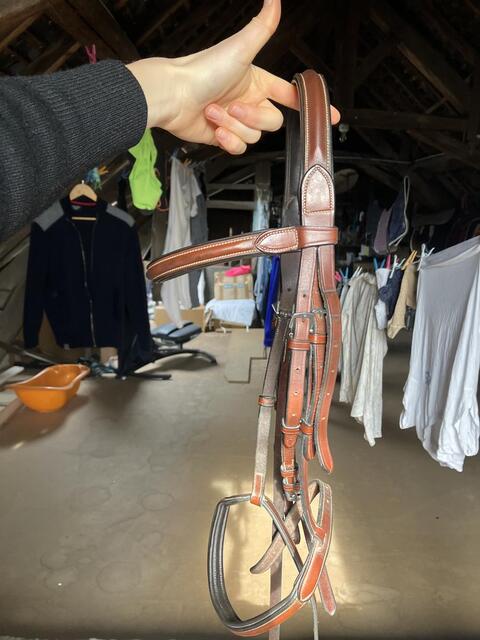 BRIDON CSO MARRON