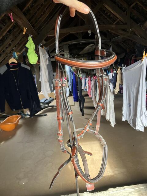 BRIDON CSO MARRON